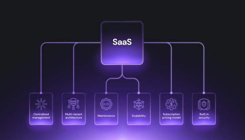 SaaS Hosting Services